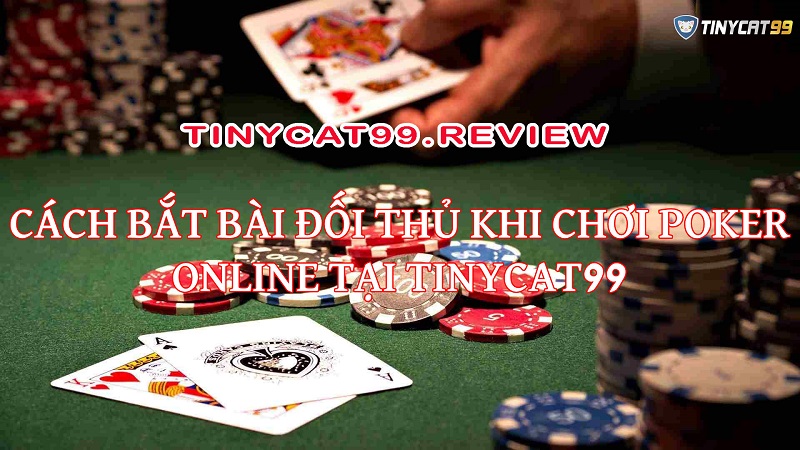 Chia sẻ kinh nghiệm chơi Poker Online tại Tinycat99