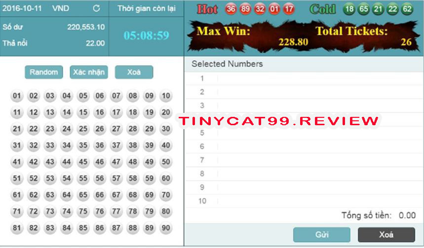 cach choi loto 90 tinycat99