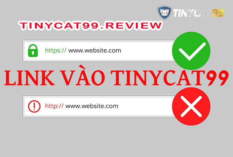 Tại sao Tinycat99 bị chặn? Link vào Tinycat99 chính xác nhất