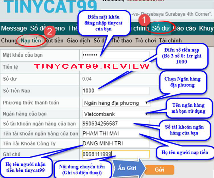 Hướng dẫn nạp tiền tại Tinycat99 5